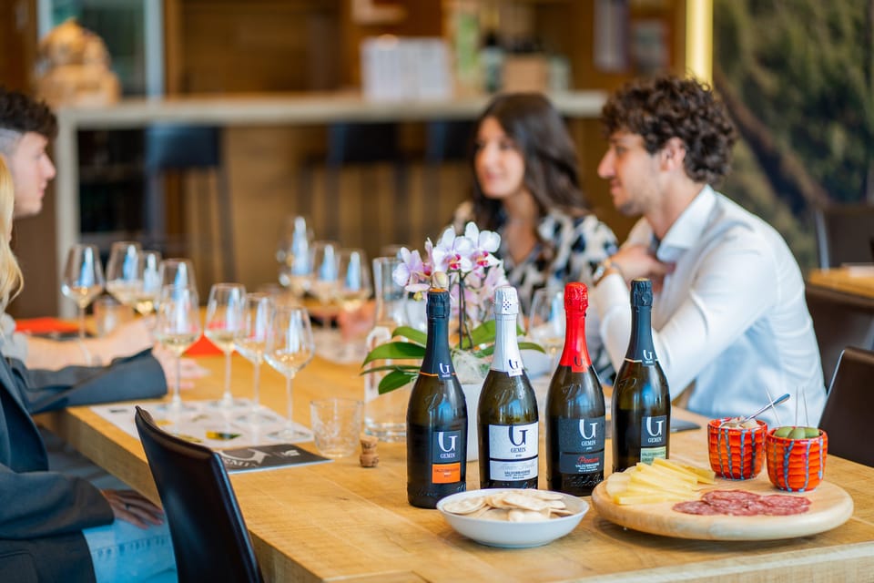 Valdobbiadene: Prosecco Tasting Experience - From vineyard to bottling: how the winery tour is paced in just one hour