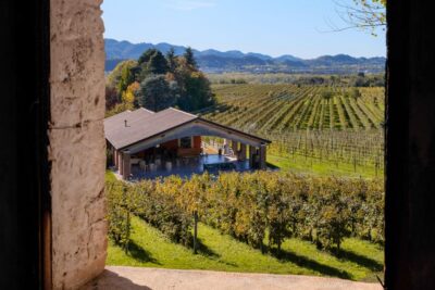 Valdobbiadene: Prosecco tasting where Art meets Wine - The 20-minute winery tour: a focused explanation