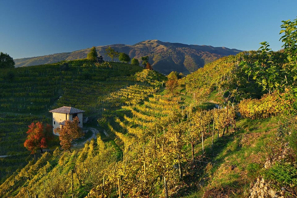Valdobbiadene: Prosecco tasting with winery & vineyard tour - Should you book Adami’s Valdobbiadene Prosecco tour?
