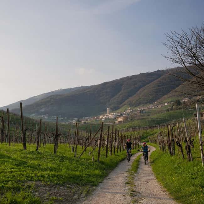 Valdobbiadene: self-guided e-bike tour in the Prosecco Hills - Optional aperitif, coffee, and a Prosecco DOCG tasting stop