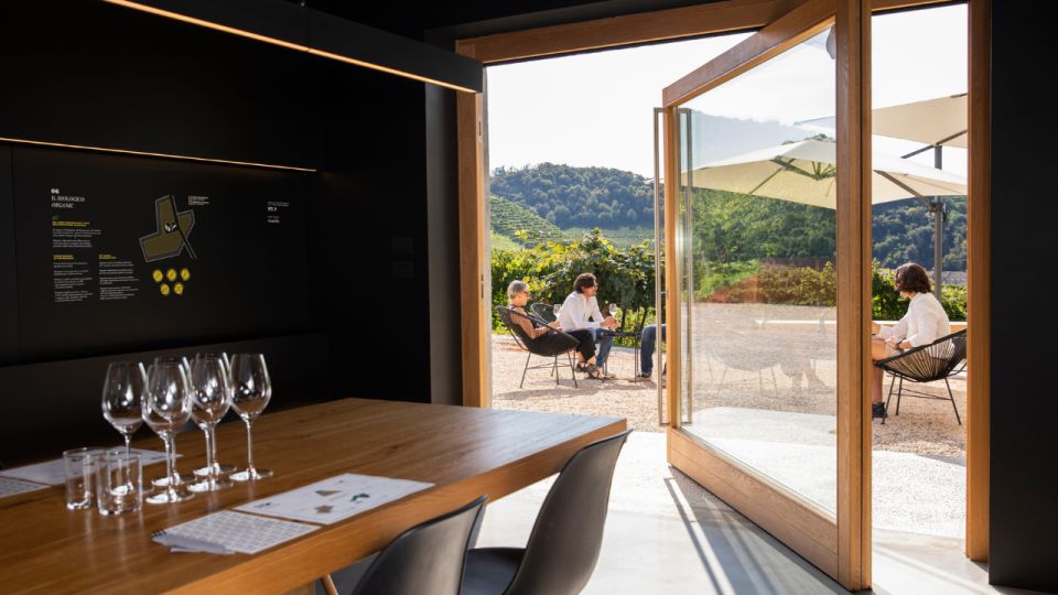 Valdobbiadene:Prosecco tasting,appetizers,winery & vineyard - Key highlights you’ll notice right away