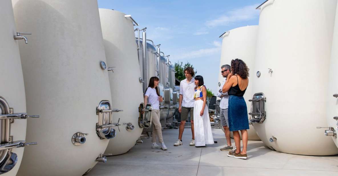 Valdobbiadene:Prosecco tasting,appetizers,winery & vineyard - Cartizze Prosecco, explained by taste (not just facts)