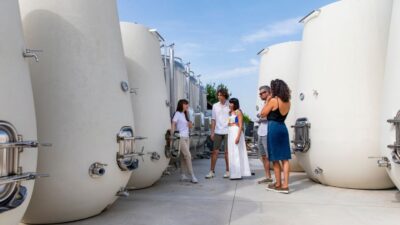 Valdobbiadene:Prosecco tasting,appetizers,winery & vineyard - Arriving at PDC CARTIZZE near Strada Cartizze 5