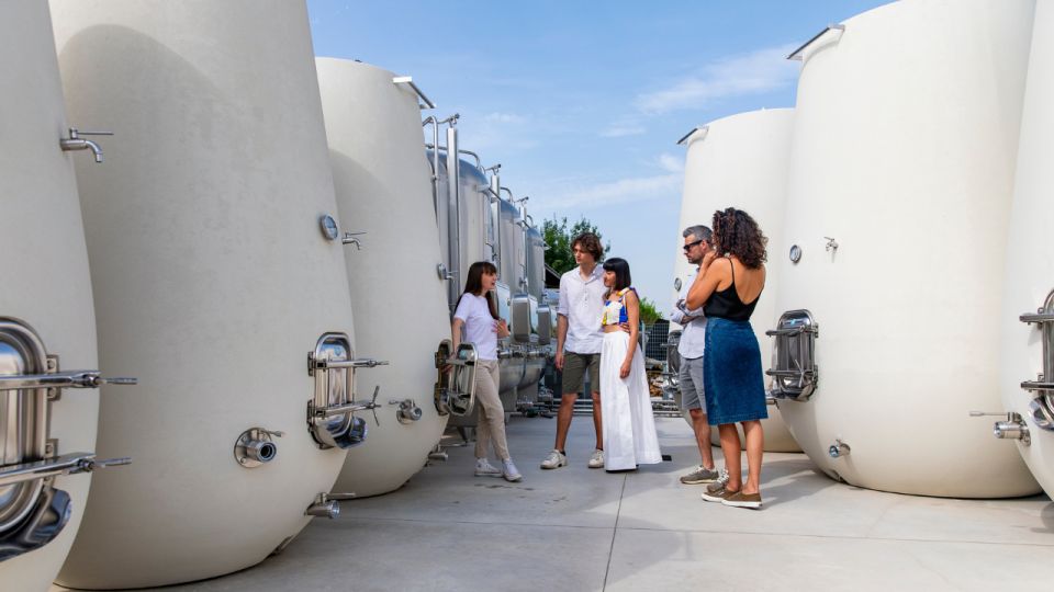 Valdobbiadene:Prosecco tasting,appetizers,winery & vineyard - Arriving at PDC CARTIZZE near Strada Cartizze 5