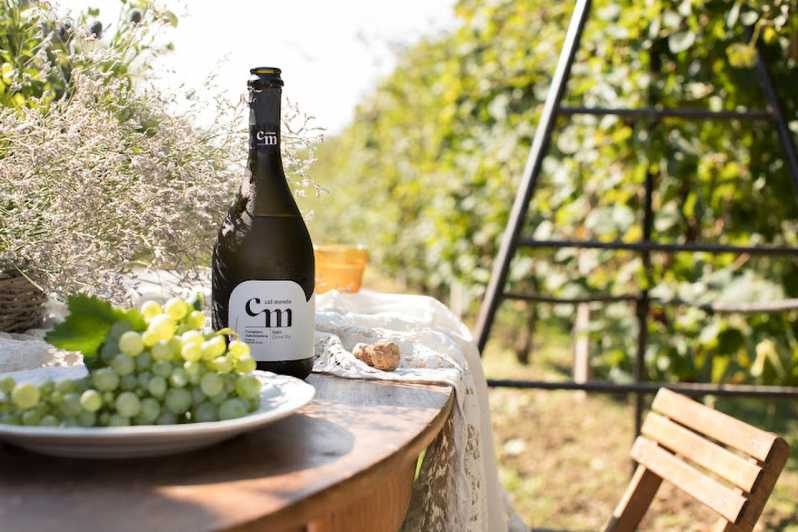 Wine Tasting: the flavors of the “Prosecco Hills” - Key things to know before you go