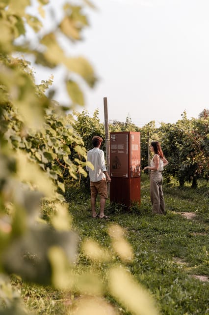 Wine Tasting: the flavors of the “Prosecco Hills” - Meet Cal Monda Hosts: Passion, Quality, and a Family-Run Feel