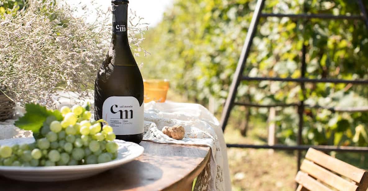 Wine Tasting: the flavors of the “Prosecco Hills” - Where to Find Cal Monda: Bus and Train Options from Conegliano and Venice